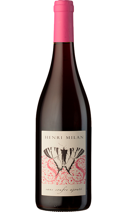Вино
 красное «Le Papillon Rouge, Vin de France»
 Henri Milan 2017