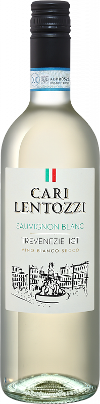 Вино Cari Lentozzi Sauvignon Blanc Trevenezie IGT Villa degli Olmi 2022 0.75 л