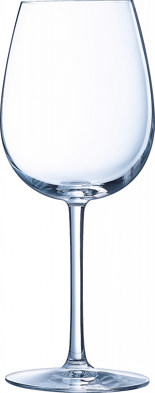 Oenologue Expert Stemmed Glass (set of 6 wine glasses) 0.45 л