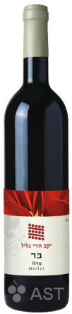 Вино Galil Mountain Merlot, 2021, 750 мл