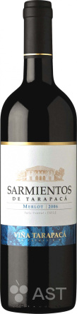 Вино Vina Tarapaca Sarmientos Merlot, 2020, 750 мл