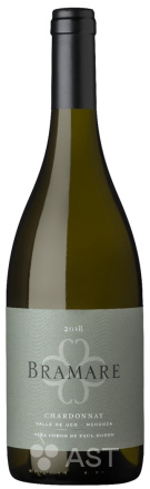 Вино Vina Cobos Bramare Chardonnay Valle de Uco, 2019, 750 мл