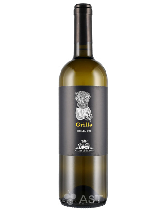 Вино Grillo Sallier de La Tour, 2019, 750 мл